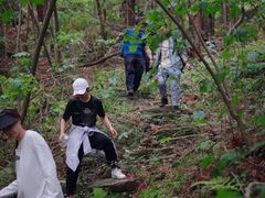 -素山寺森林公园