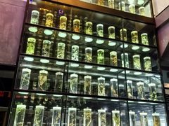 -广东中医药博物馆