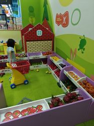 -莫莉幻想儿童乐园(北京昌发展万科店)