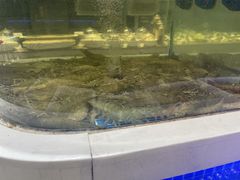 -大众海鲜(巨龙北路店)