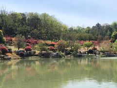 -牛首山文化旅游区