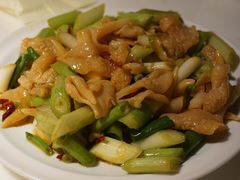 拌鸟贝-日丰园海肠水饺·老字号大连海鲜(和平广场店)