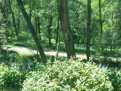 -秦皇岛野生动物园