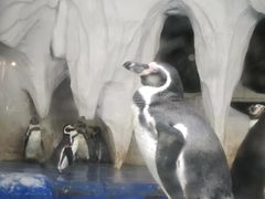 -太平洋海底世界