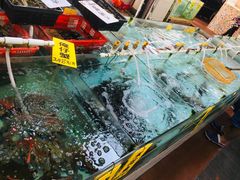 -寻味顺德·南记酒家·传统顺德菜·鱼生(广源路店)