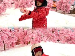 -广州热雪奇迹