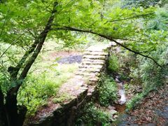 -会稽山峡洞漂流-上青古道