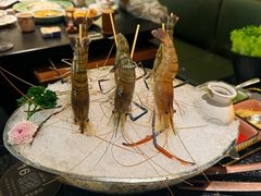 游水罗氏虾-得意咚瓜·顺德鱼生·冬瓜火锅(深圳首店)