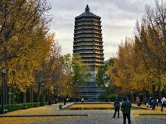 -玲珑塔公园