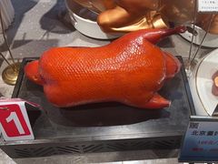 -宏运厨房·海鲜青岛菜·生日宴(城市阳台店)