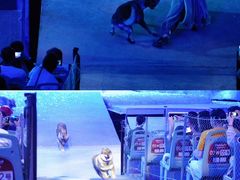 -华夏文旅西安度假区