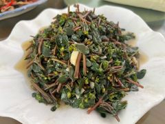 马齿苋-途中饭店(开化店)