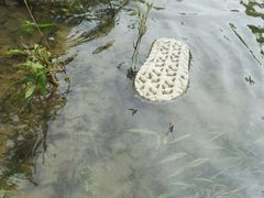 -五龙源极限漂流