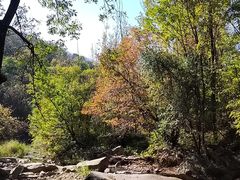 -三块石国家森林公园