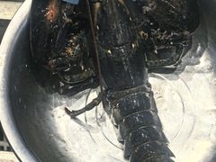 -北塘海鲜·天津菜(大光明桥旗舰店)