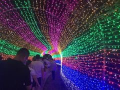 -东海大峡谷