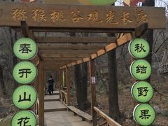 -大岭沟猕猴桃谷风景区