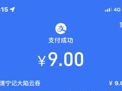 -海清宁记大馅云吞