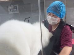 -宠福鑫康馨动物医院·骨科·眼科