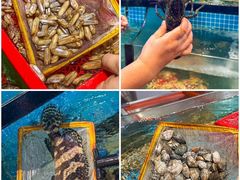 -四川小胡子海鲜(丁村万人海鲜广场店)