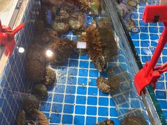 -回香楼大连新派清真菜