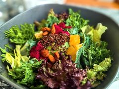 -峨嵋酒家(牡丹园店)