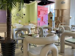 -藏猫猫咖啡主题馆(中央大道店)