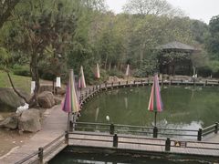 -白马涧龙池景区