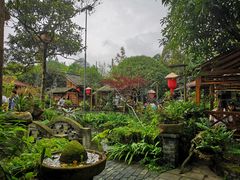 -青城甲(青城山店)