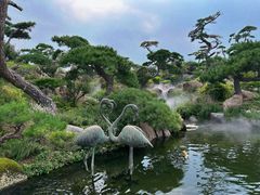 -罗红摄影艺术馆