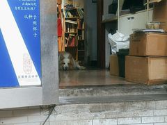 -豆舞咖啡(民乐路店)