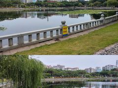 -敬贤公园