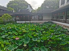 -上海醉白池公园