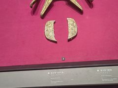 -呼和浩特博物馆