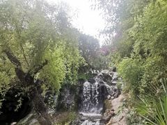 -南诏风情岛