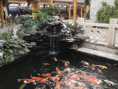 -顺德了能馆(虎门店)