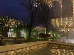 -三江森林温泉度假区