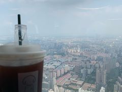 -东方明珠259米全透明悬空观光廊