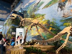 -自贡恐龙博物馆