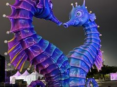 -东港音乐喷泉广场