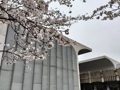 -龙美术馆(西岸馆)