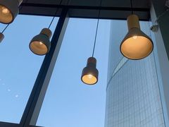 -油梨树AVOCADO TREE(望京店)