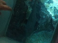 -暹罗海洋世界