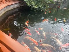 -香麒园·过桥米线·南湖雅宴