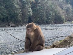 -九峰山