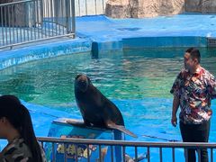 -华夏文旅海洋公园