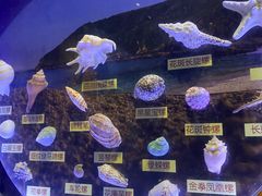 -海合安青岛极地海洋公园
