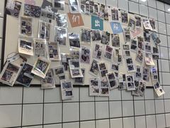 -半岛宠物医院24小时(科华中路店)
