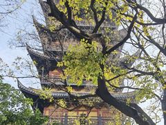 -常熟方塔园