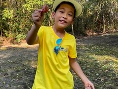 -上海海湾国家森林公园